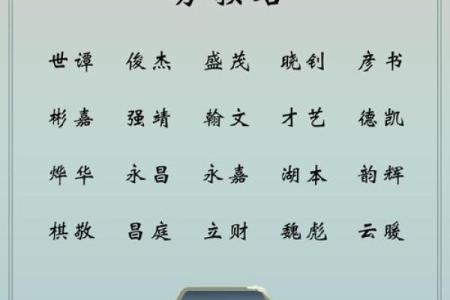 2019年3月17号辛时出生的男孩应该起什么样的名字姓名