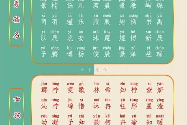 属龙辛时出生的男孩怎样起名，宜用什么字姓名