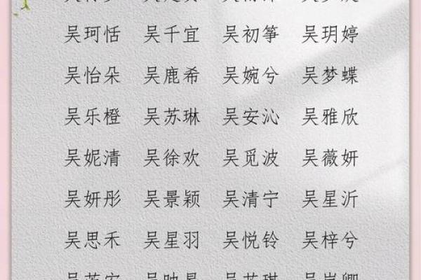 吴姓男孩名字大全-吴姓男孩起名字大全-吴姓名字大全姓名