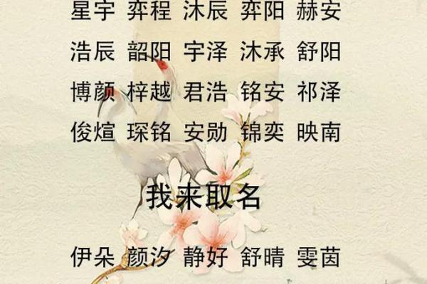 2019年6月3号寅时出生的男孩应该起什么样的名字姓名