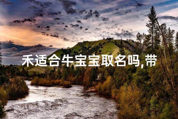 什么名字适合上午出生的属牛男孩姓名