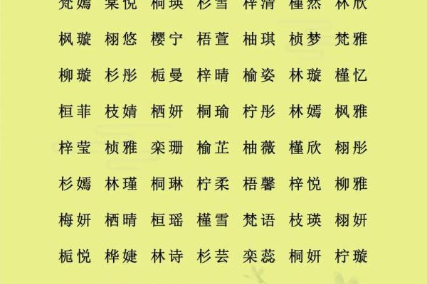 1月份出生的属猴男孩该怎么取名才好姓名