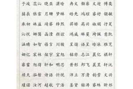 2019年3月26号申时出生的男孩要怎么起名字姓名