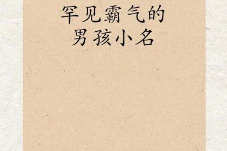 2019年3月21号酉时出生的男孩要怎么起名字姓名