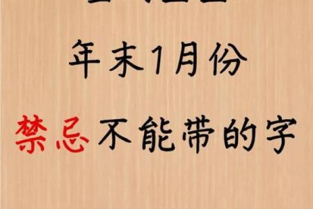 给晚上出生的属鼠男孩起名宜用什么字姓名