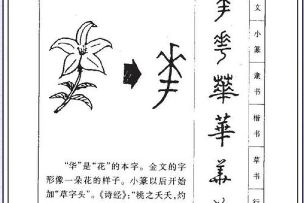 姓侯的名人-姓名学-华易算命网姓名
