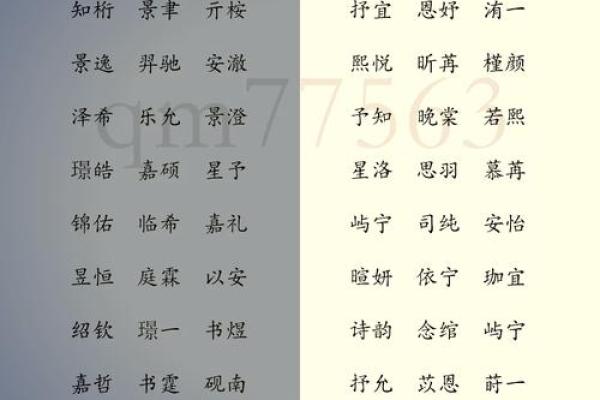 2019年3月22号巳时出生的男孩应该起什么样的名字姓名