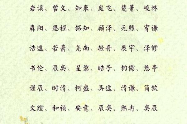 2019年3月22号巳时出生的男孩应该起什么样的名字姓名