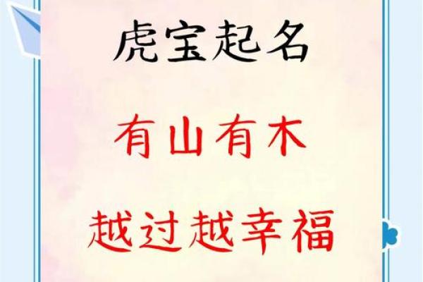晚上8点出生的属虎男孩如何起名，宜用什么字姓名
