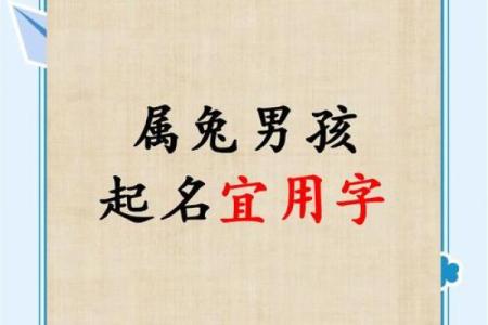 10月份出生的属兔男孩该怎样取名字姓名