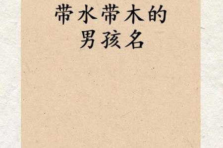 带木字旁的男孩名字-名字大全-姓名学-华易算命网姓名