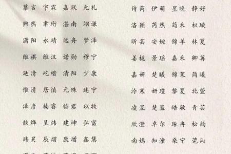 晚上9点出生的属蛇男孩该如何起名,适合用什么字姓名