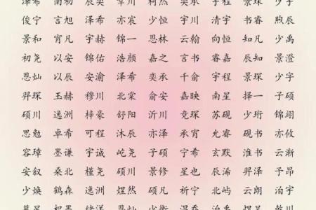 2019年4月13号子时出生的男孩要怎么起名字姓名