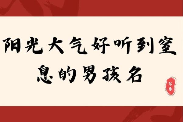 2019年5月21号卯时出生的男孩要怎么起名字姓名