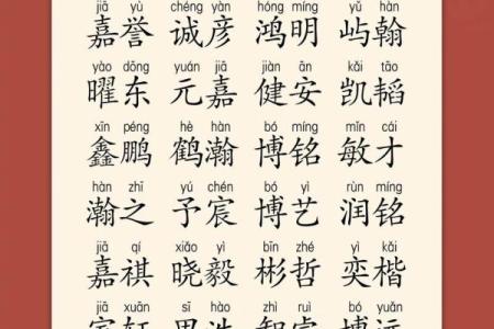 2019年5月18号子时出生的男孩起名时要注意什么姓名