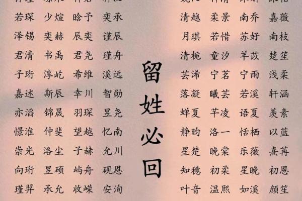 2019年5月20号丑时出生的男孩起名方法姓名