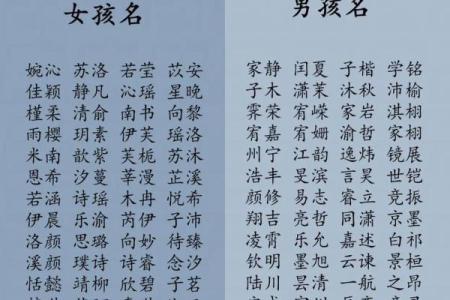 2019年出生的姓周女孩如何起名，宜用什么字姓名_1