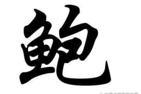 鲍姓女孩名字大全-鲍姓女孩起名字大全-鲍姓名字大全姓名