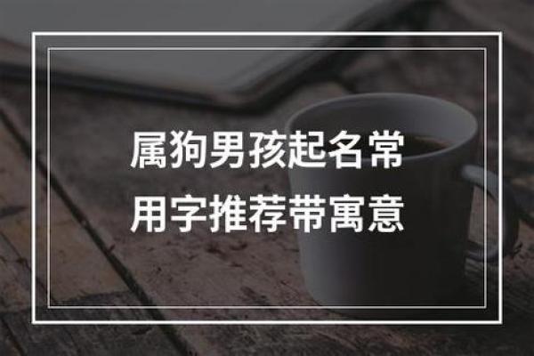 傍晚出生的属狗男孩怎么取名，适合什么字姓名