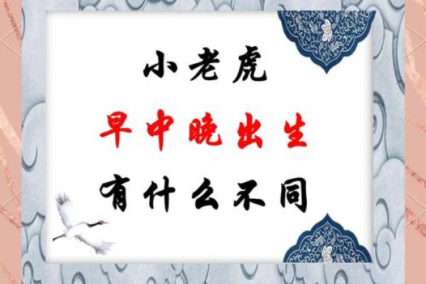 晚上9点出生的属虎男孩如何起名,宜用什么字姓名 晚上9点出生的属虎男孩如何起名,宜用什么字姓名