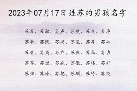 苏姓男孩名字大全-苏姓男孩起名字大全-苏姓名字大全姓名