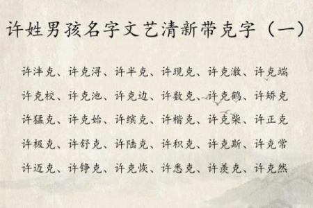 2019年4月26号子时出生的男孩如何起名姓名