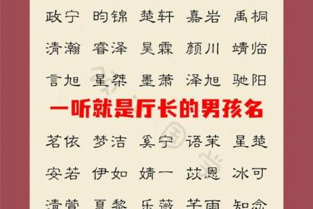 2019年3月25号巳时出生的男孩起名方法姓名