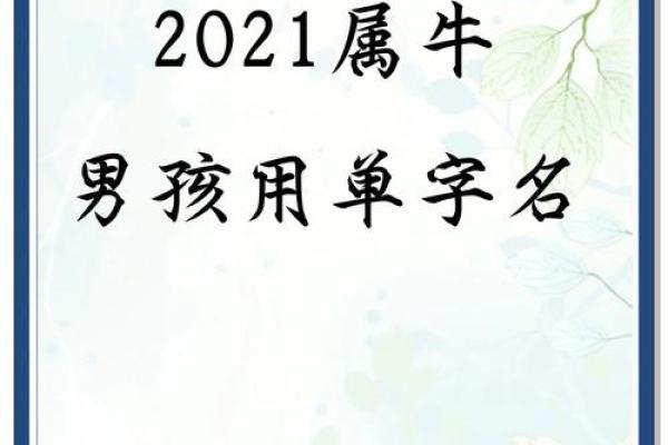 早上6点出生的属牛男孩如何起名，宜用什么字姓名