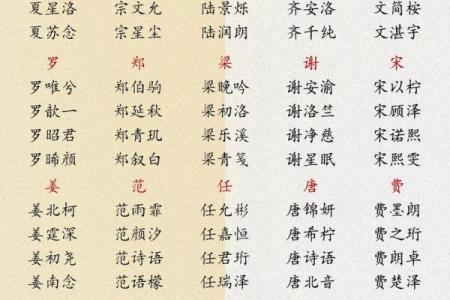 宗姓男孩名字大全-宗姓男孩起名字大全-宗姓名字大全姓名