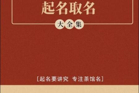 茶叶店名字大全-名字大全姓名