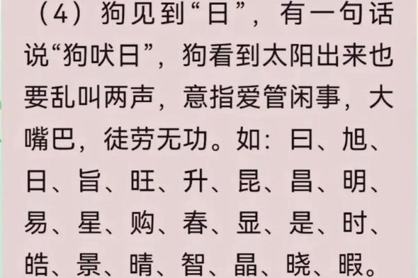 晚上八点出生的属狗男孩如何取名，宜用什么字姓名