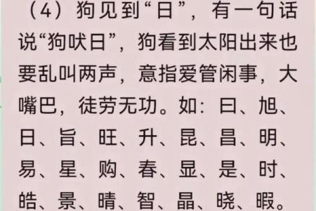 晚上八点出生的属狗男孩如何取名，宜用什么字姓名