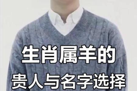 凌晨4点出生的属羊男孩取什么名，适合什么字姓名