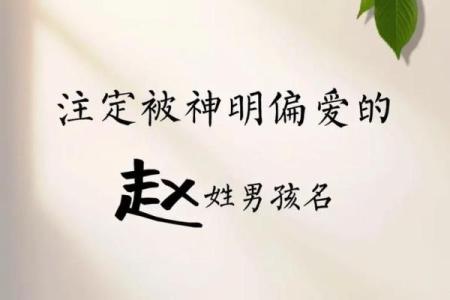 姓赵的名人-名人大全-姓名学姓名