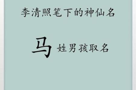 2月份出生的属马男孩起什么名字好姓名