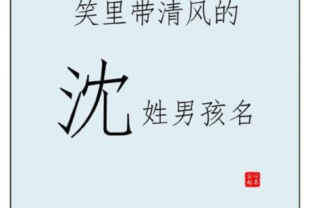 姓沈的名人-名人大全-姓名学-华易算命网姓名