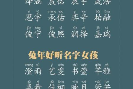 兔年女孩子起名字大全-兔年起名字姓名