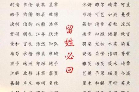 玩具店起名名字大全-名字大全-姓名学-华易算命网姓名