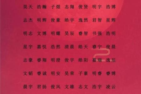 2019年5月27号卯时出生的男孩应该起什么样的名字姓名