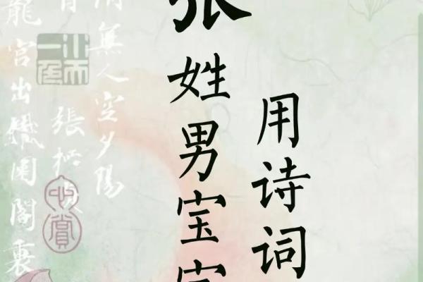 2019年3月23号亥时出生的男孩如何起名姓名 2019年3月23号亥时出生的男孩如何起名姓名