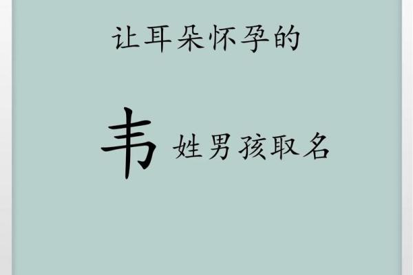 2019年3月23号亥时出生的男孩如何起名姓名 2019年3月23号亥时出生的男孩如何起名姓名