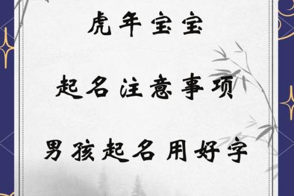 晚上出生的属虎男孩应该如何起名,宜用什么字姓名 晚上出生的属虎男孩应该如何起名,宜用什么字姓名