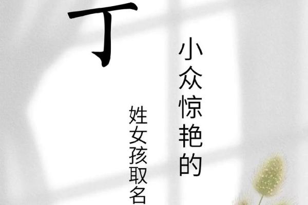 丁姓男孩名字大全-丁姓男孩起名字大全-丁姓名字大全姓名 丁姓男孩名字大全-丁姓男孩起名字大全-丁姓名字大全姓名