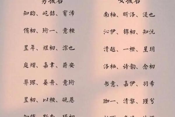 2019年3月29号未时出生的男孩起名时要注意什么姓名