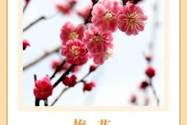 姓花的名人-名人大全-姓名学-华易算命网姓名