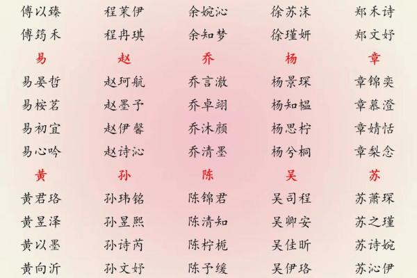 晚上10点出生的属鸡男孩用什么字取名字合适姓名