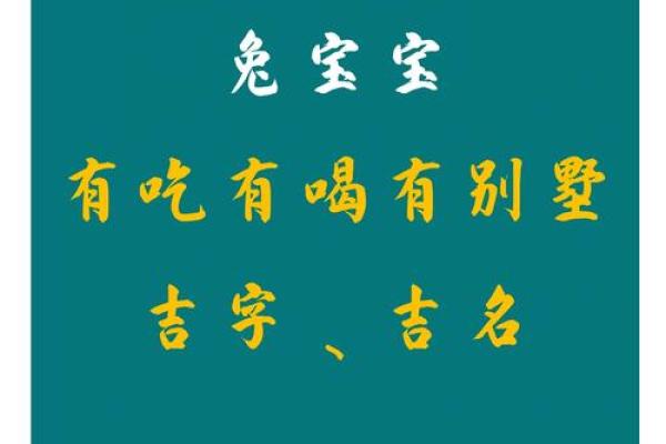 晚上出生属兔的男孩应该怎么样取名字呢?姓名 晚上出生属兔的男孩应该怎么样取名字呢?姓名
