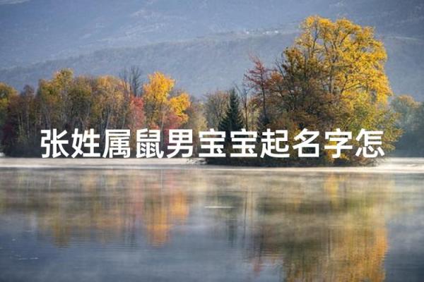 下午出生的属鼠男孩如何起名才合适姓名