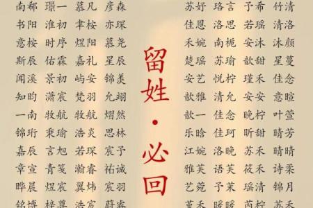 2019年3月18号卯时出生的男孩如何起名姓名