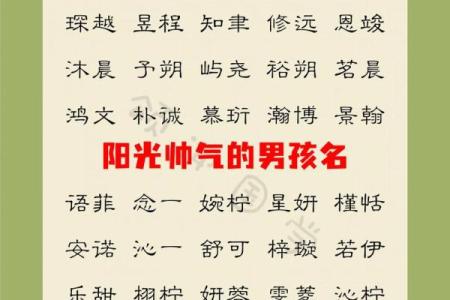 2019年3月19号丑时出生的男孩应该起什么样的名字姓名